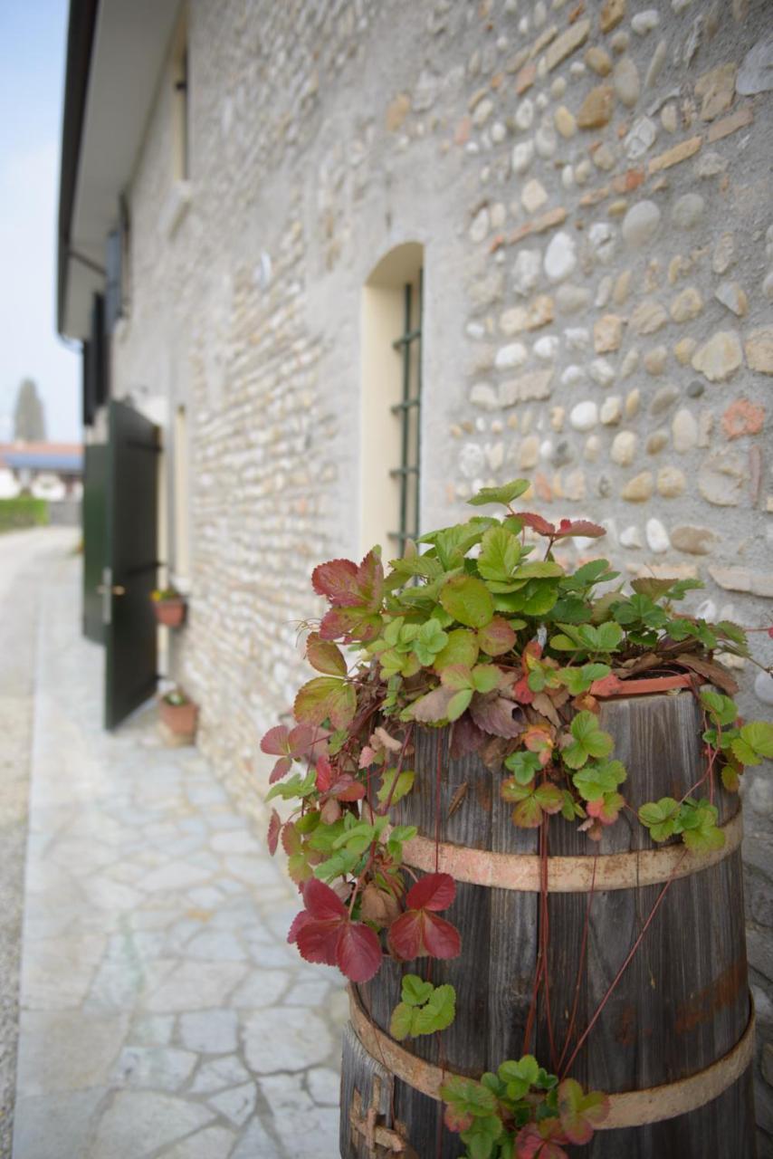 Вілла Ca' Premuda Locazione Turistica Codogne Екстер'єр фото